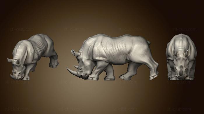 3D model Rhino (STL)